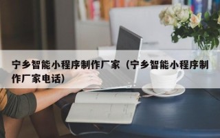 松原宁乡智能小程序制作厂家（宁乡智能小程序制作厂家电话）