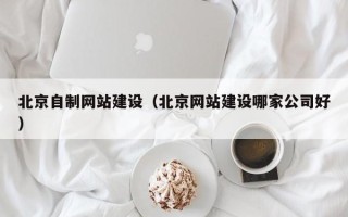 松原北京自制网站建设（北京网站建设哪家公司好）